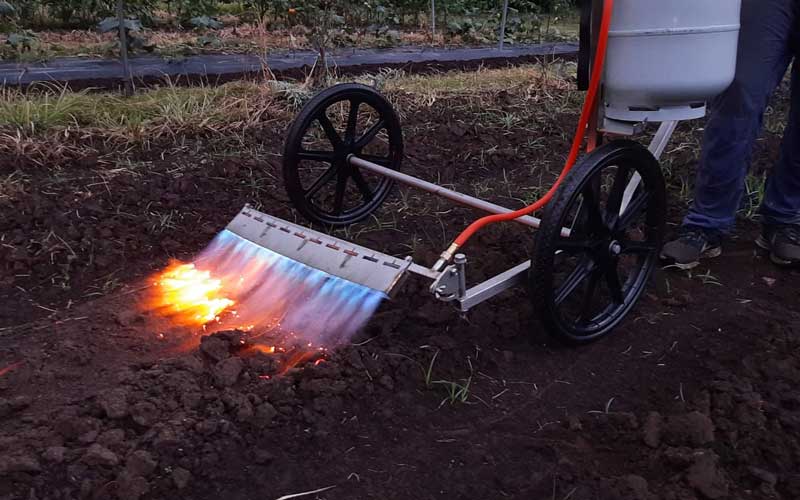 Incinerator Multi: Most Powerful Australian Made Flame Blade Weed Burner