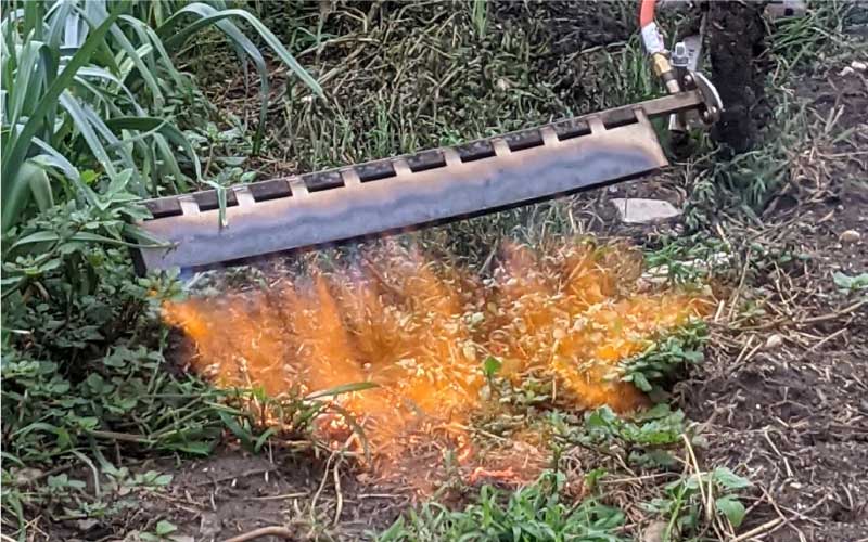 Incinerator Multi: Most Powerful Australian Made Flame Blade Weed Burner