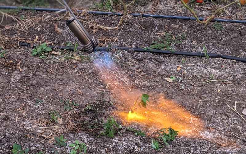 Weed Wand: Most Powerful Australian Made Weed Torch Burner