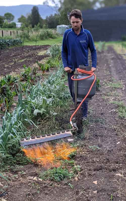 Incinerator Multi: Most Powerful Australian Made Flame Blade Weed Burner